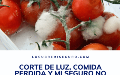 Corte de Luz, comida perdida y mi seguro no me paga.